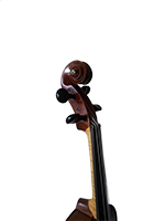 Violina 1 Vrat